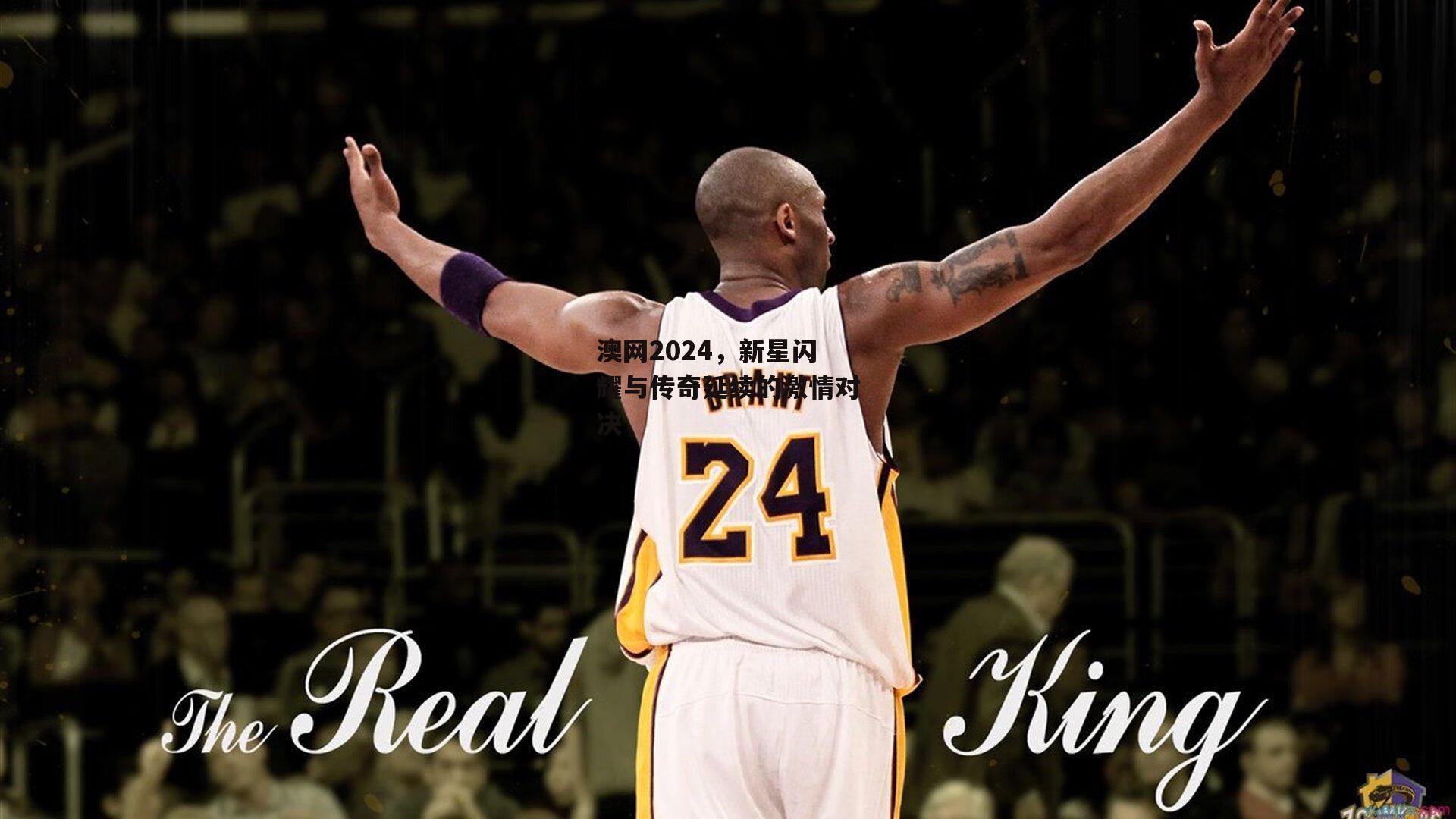 澳网2024,新星闪耀与传奇延续的激情对决