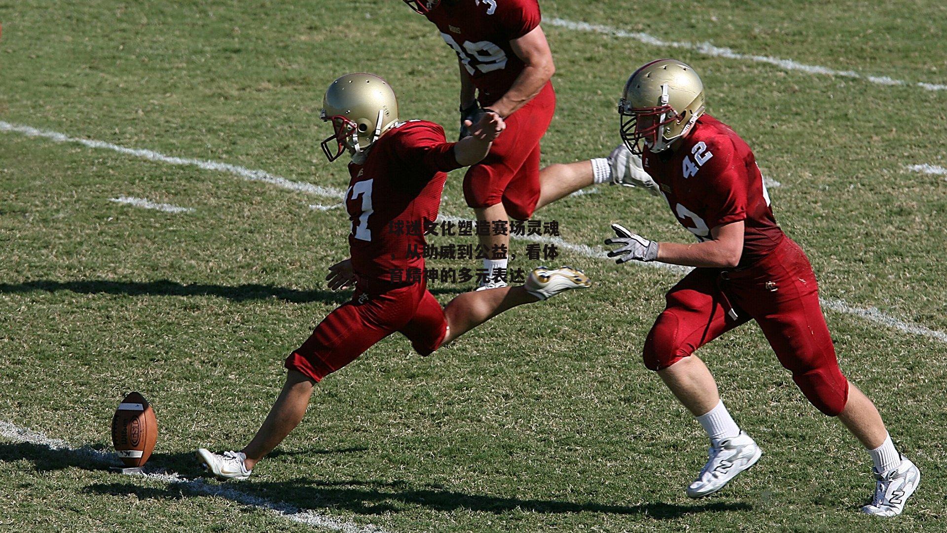 球迷文化塑造赛场灵魂,从助威到公益,看体育精神的多元表达