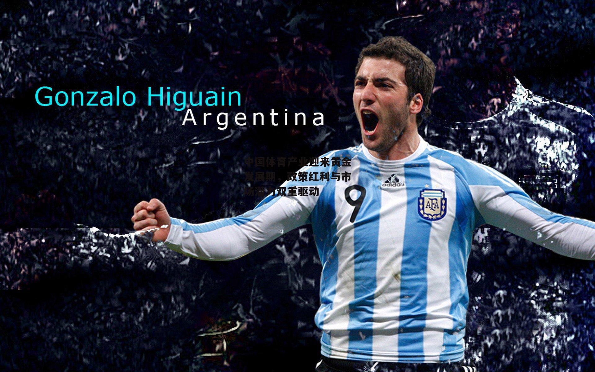 中国体育产业迎来黄金发展期,政策红利与市场潜力双重驱动