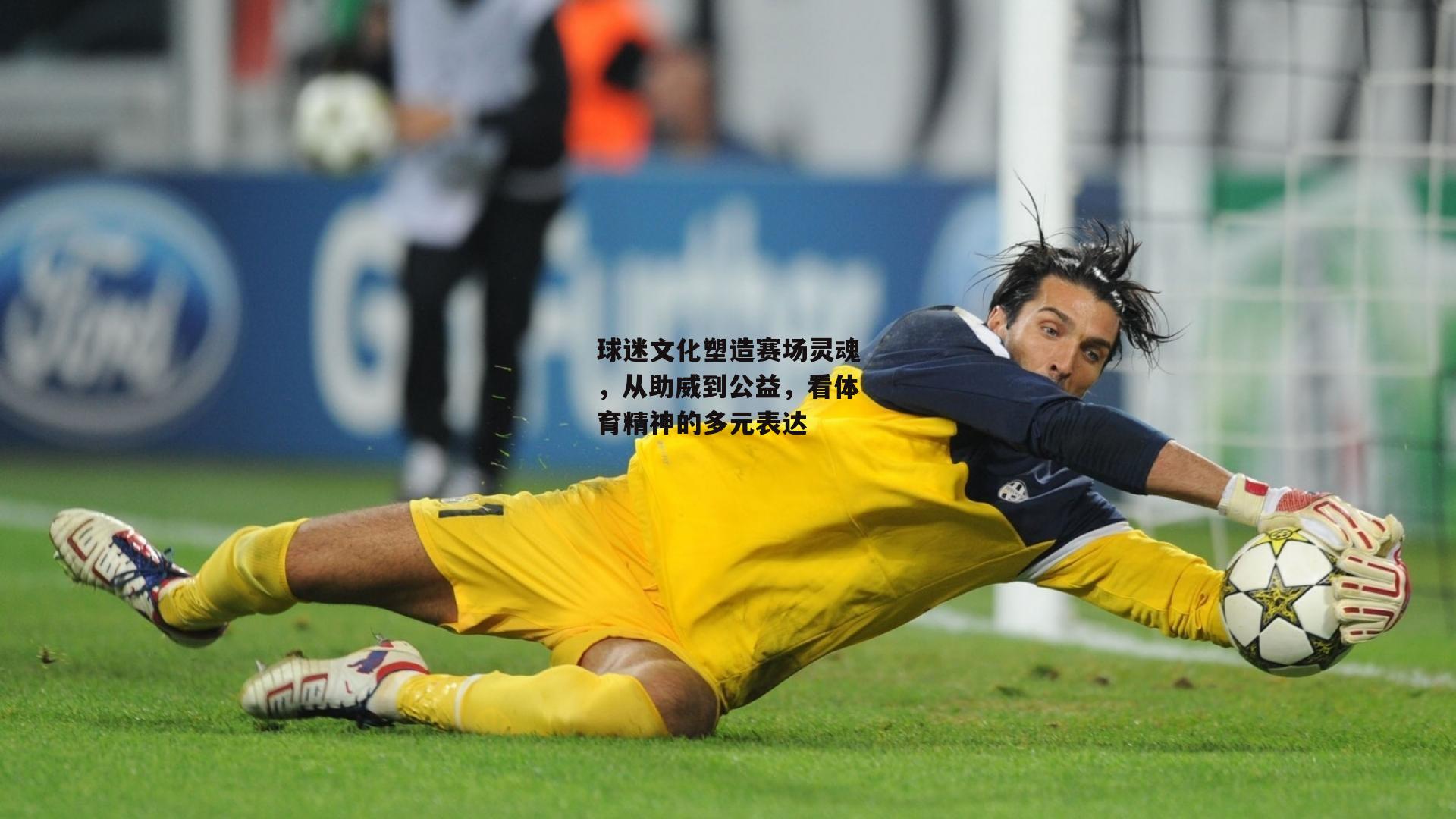 球迷文化塑造赛场灵魂,从助威到公益,看体育精神的多元表达